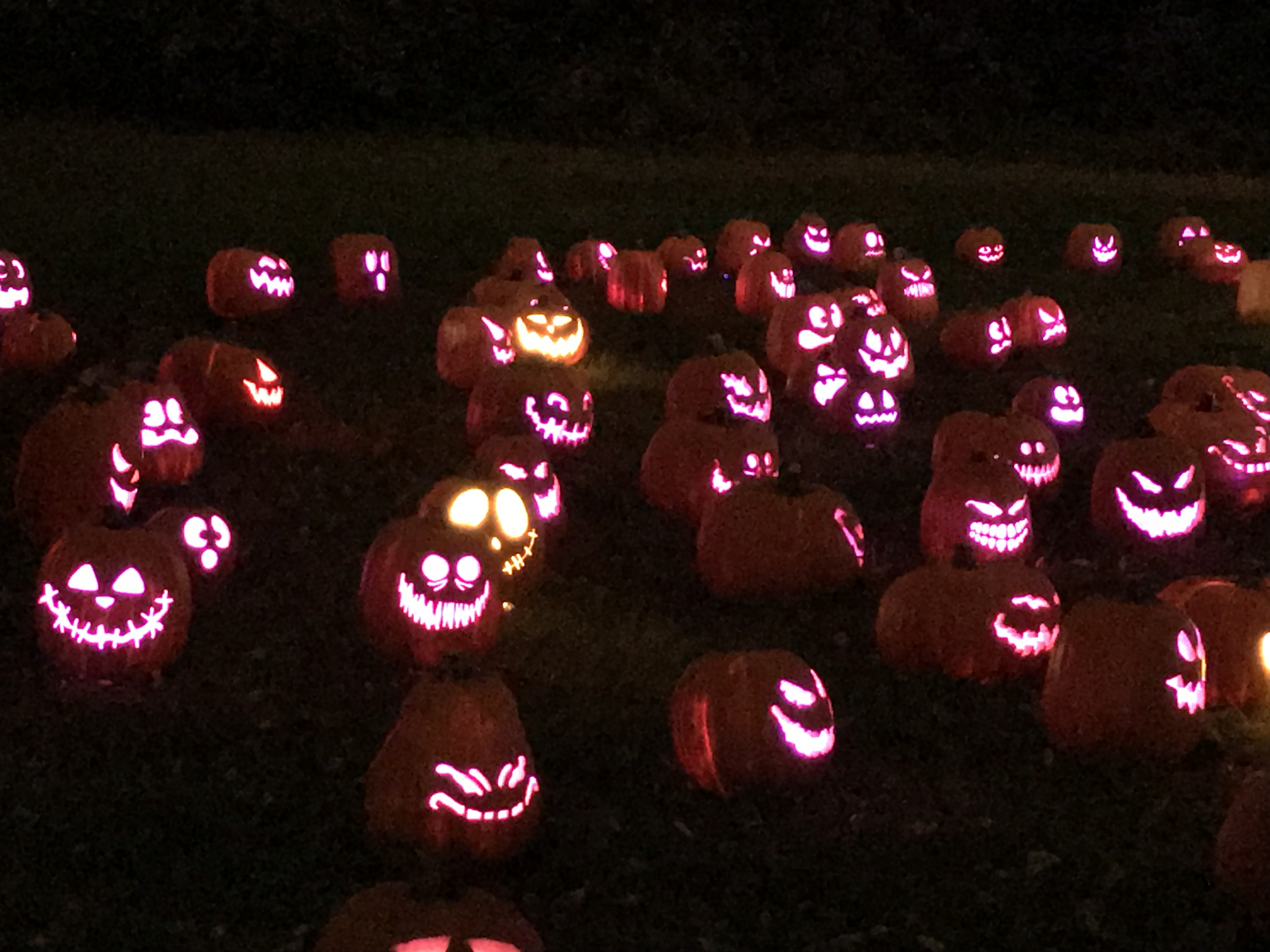 Jack's Pumpkin Glow Philadelphia philly lover