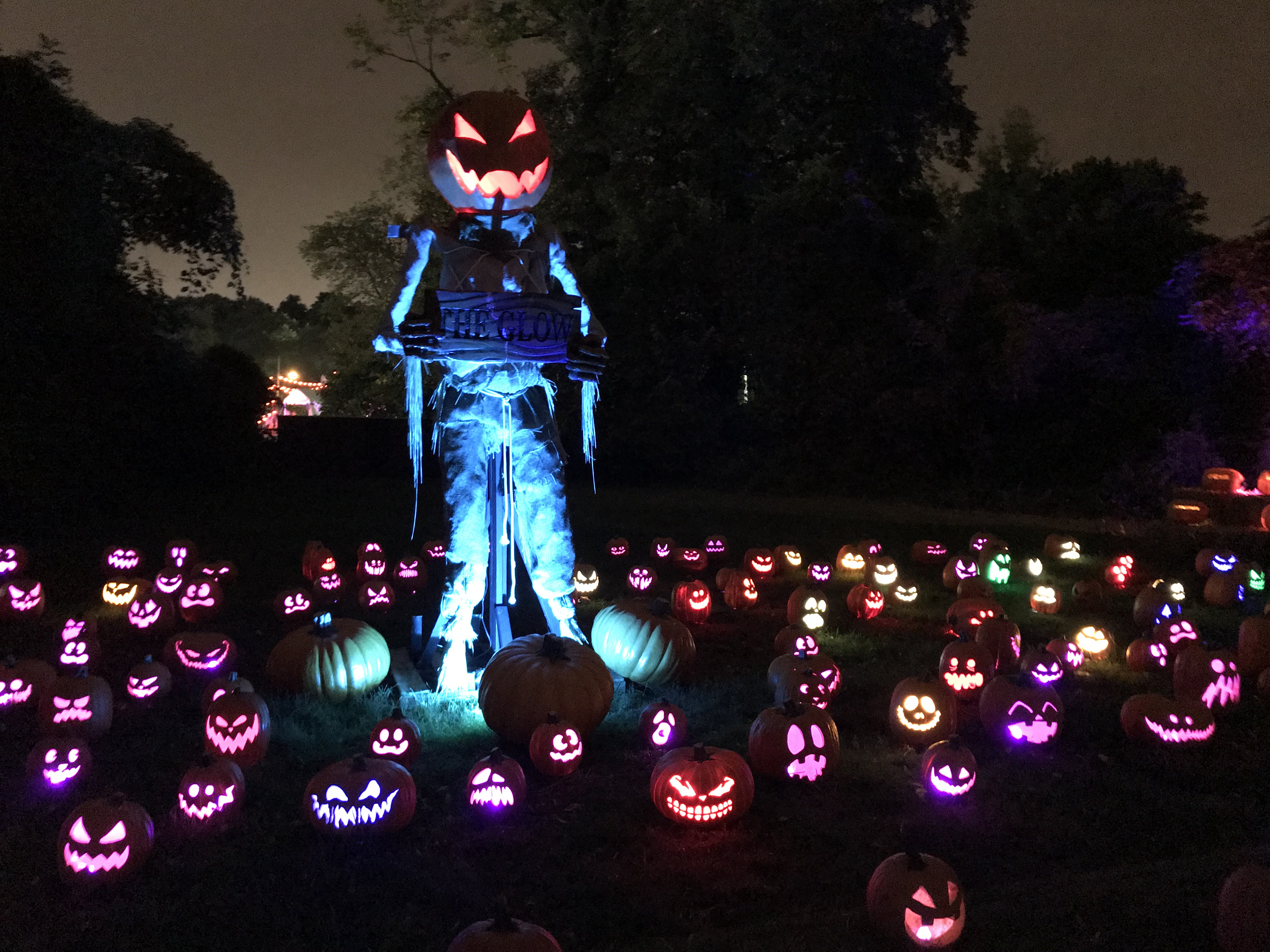 Jack's Pumpkin Glow Philadelphia philly lover